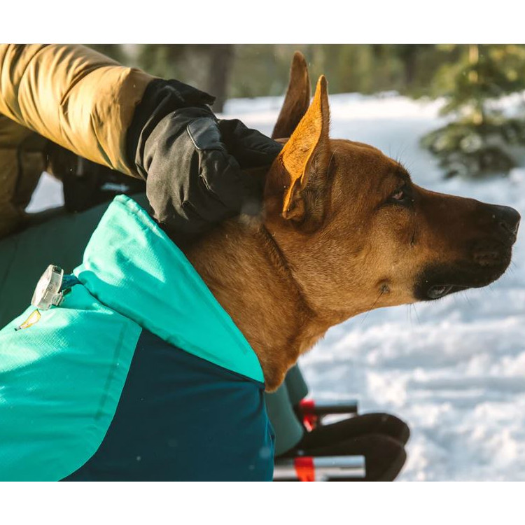 Ruffwear Vert Dog Jacket - Image 5